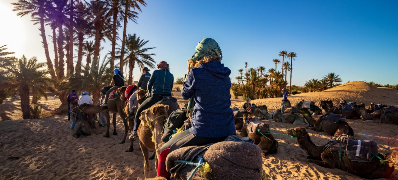 Vip Evening Desert Safari