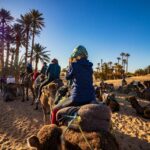 Vip Evening Desert Safari